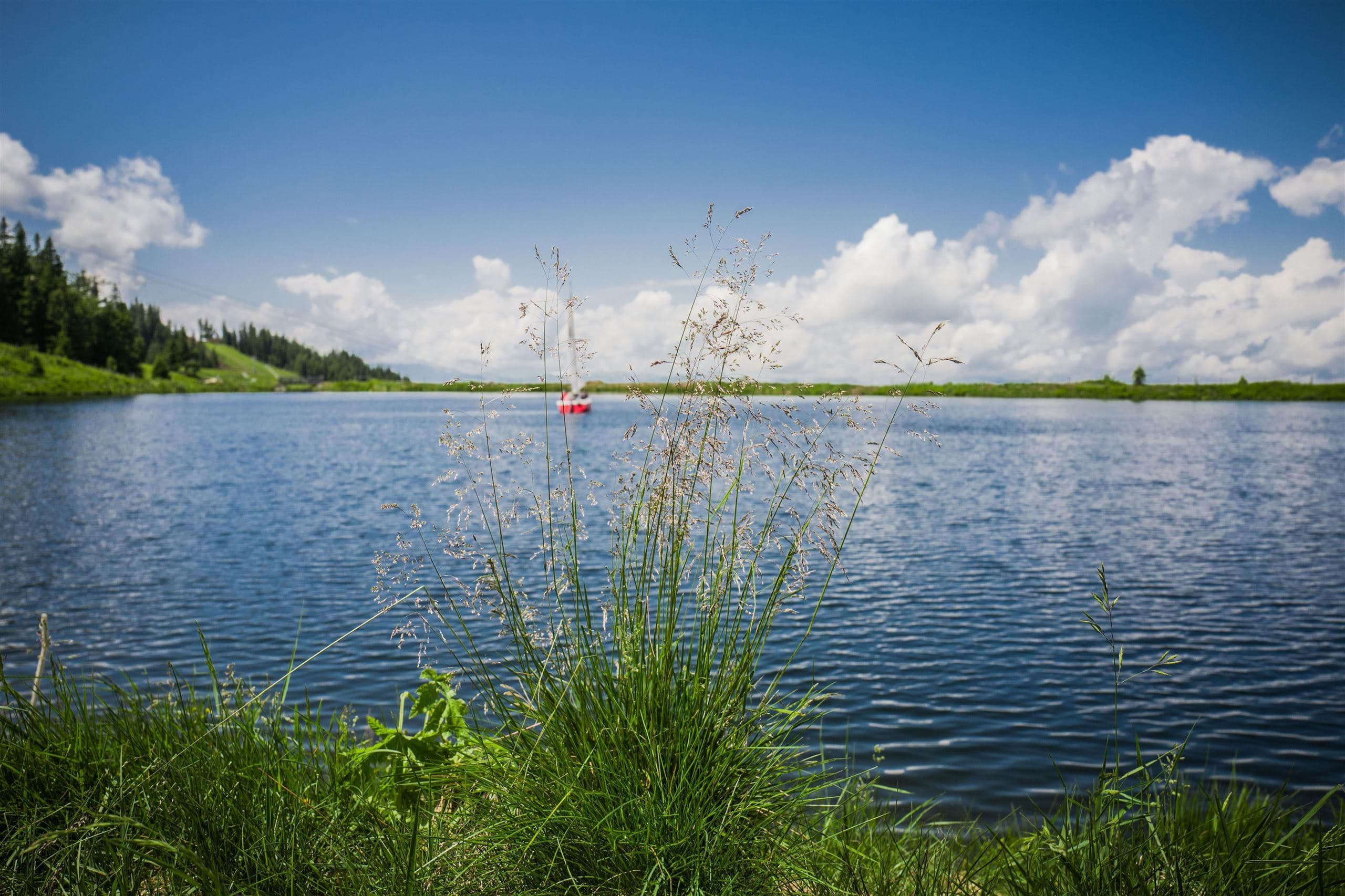 A peaceful lake surrounded by green grass and trees. White clouds drift past in the blue sky as a small boat sails on the water.